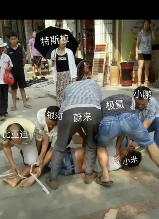 据说这是今年新能源的趋势
