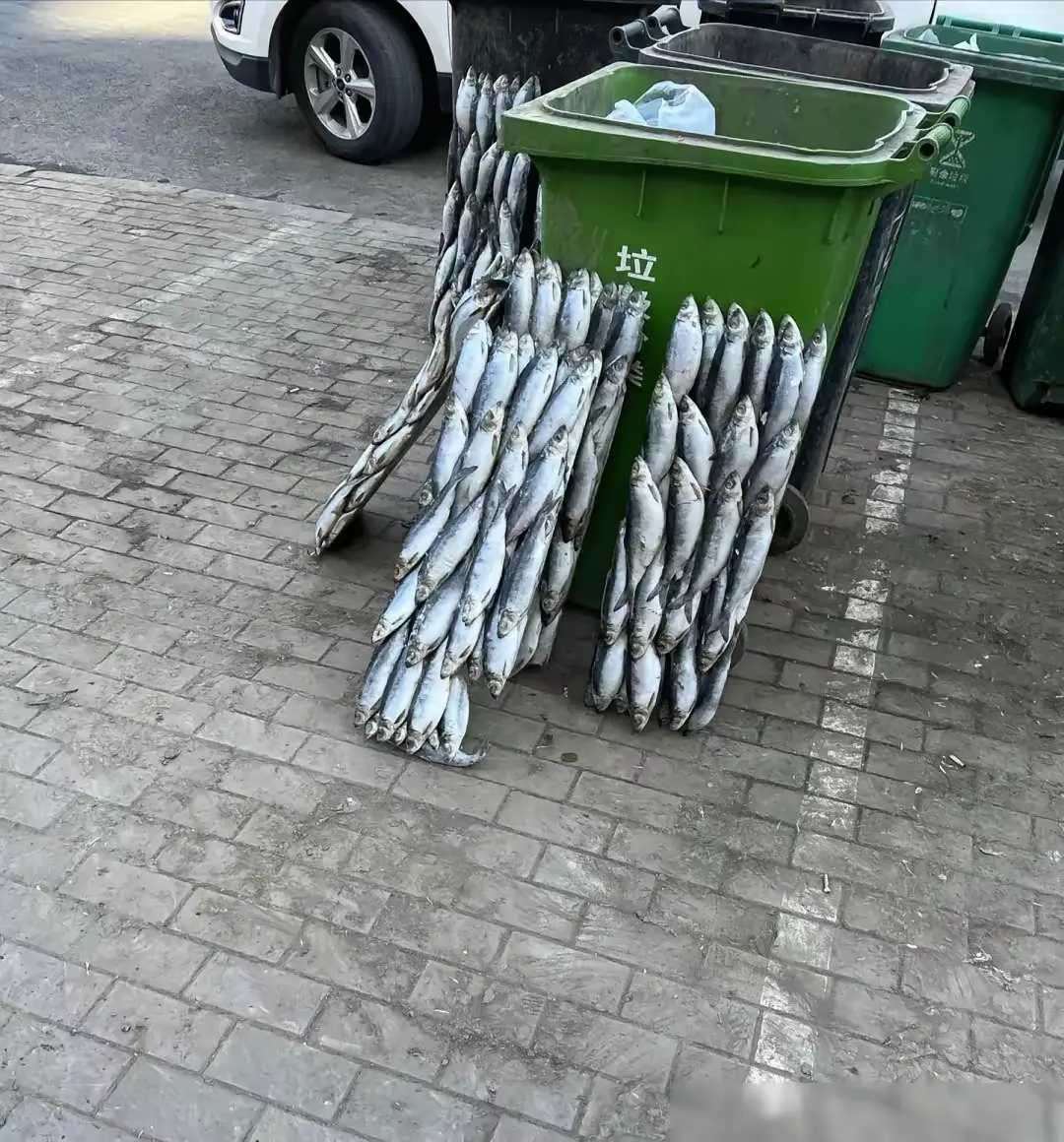 我捡回去不算违法吧？