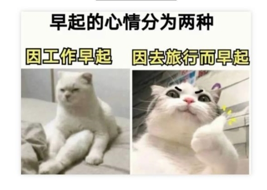 早起的心情分为两种