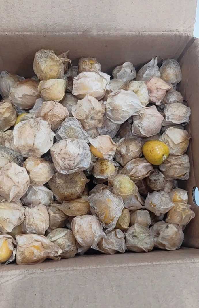 好朋友从黑龙江寄过来的，不知道是什么，打视频过去问一直在忙线中。有没有黑龙江的朋