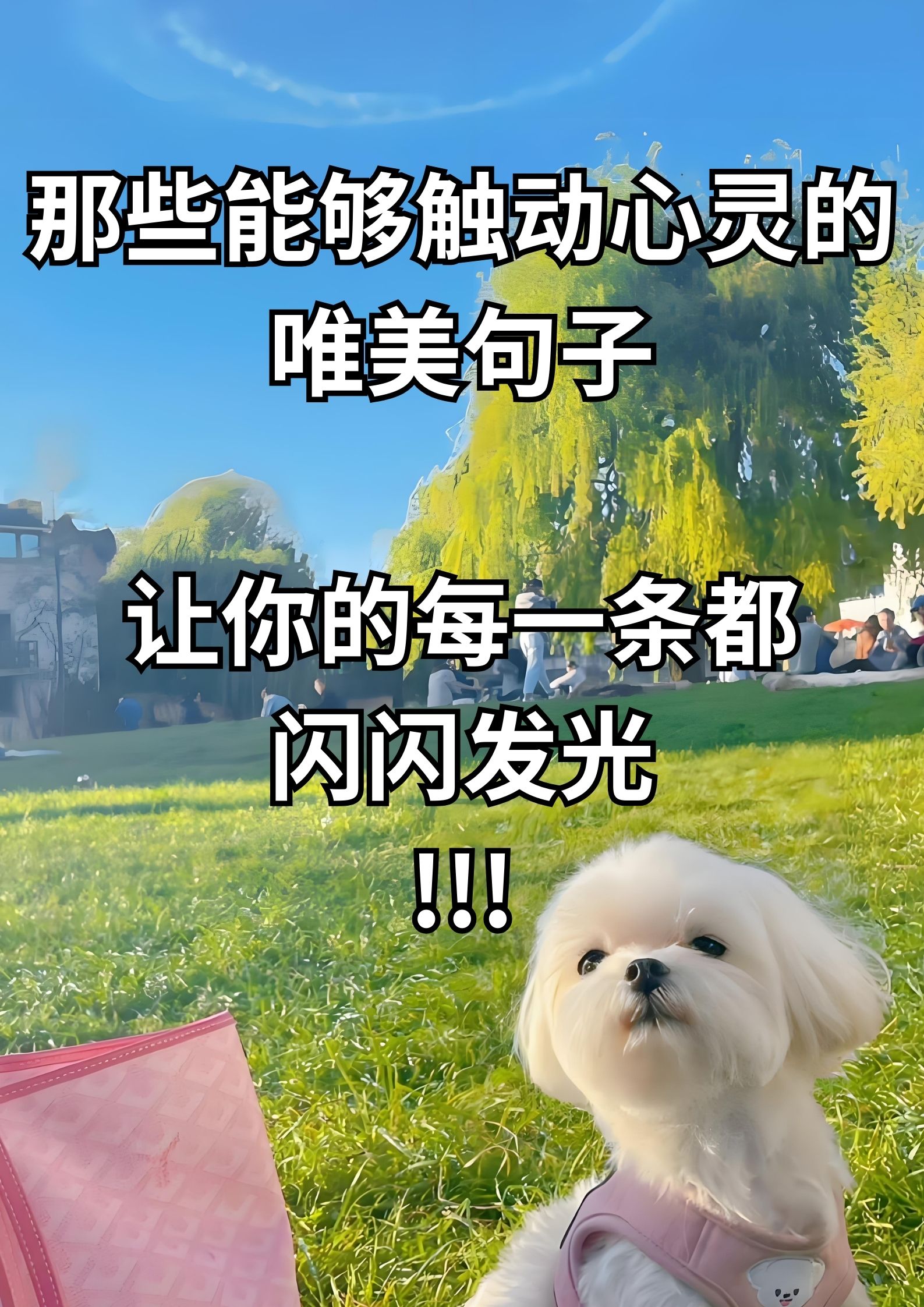 那些触动心灵的唯美句子！！