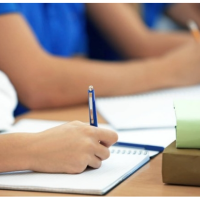 榴莲爱吃大西瓜