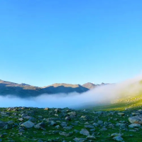 孤山放鹤亭立之处景