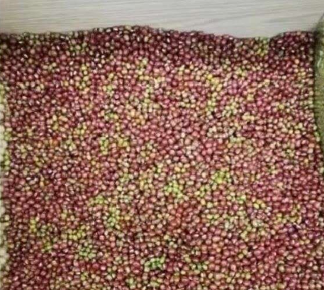 用什么方法能把绿豆和红豆分开？