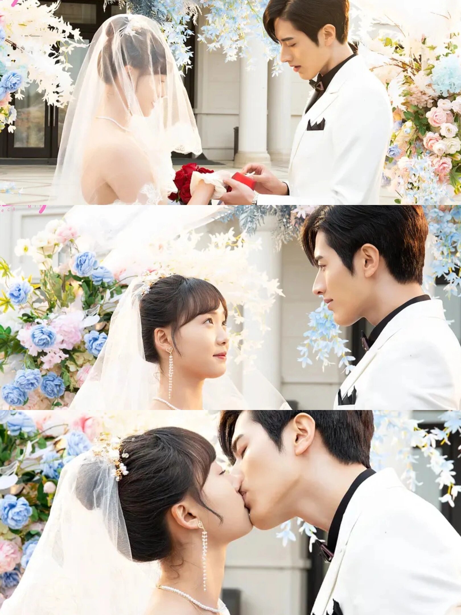 好剧推荐《骑着鱼的猫》