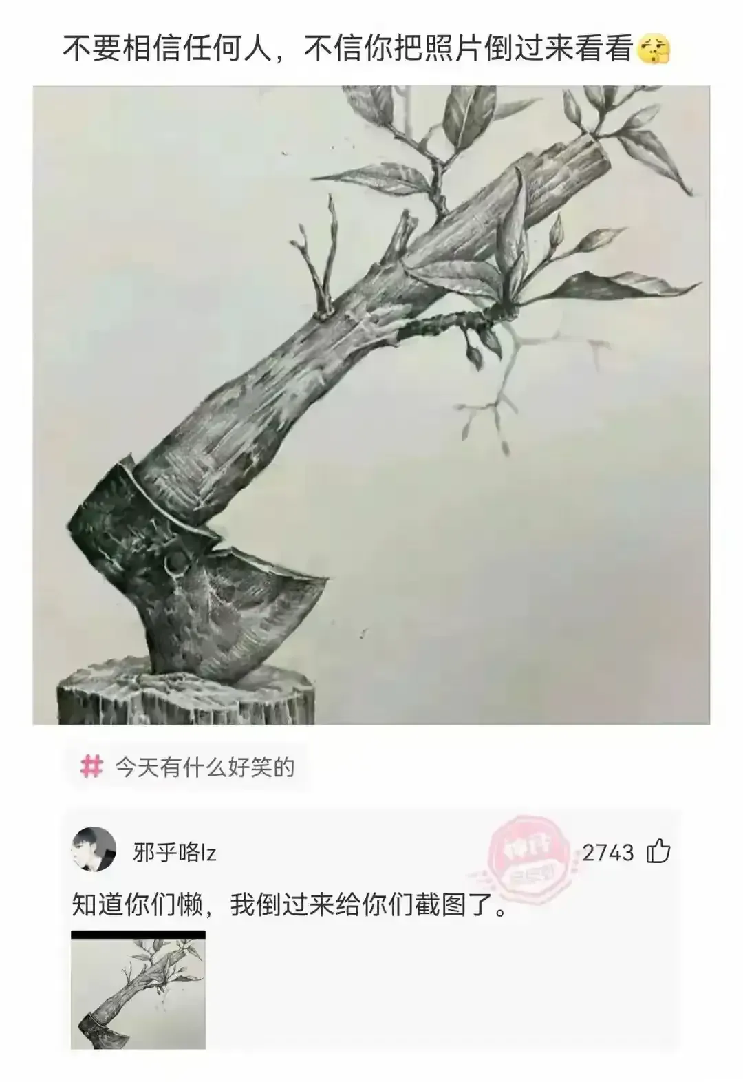 不要相信任何人，不信你把照片倒过来看看