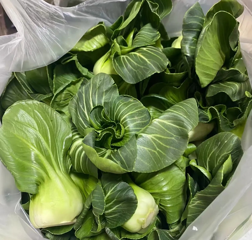 昨天二婶给我送了一袋子青菜，她家里小菜园种的，我说不用送过来，我们自己可以去超市