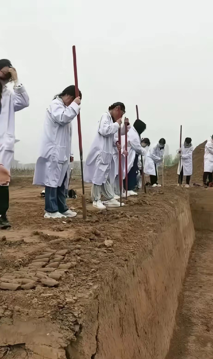 他们四五十年以后会不会失业，哪有那么多古墓？ ​​​
