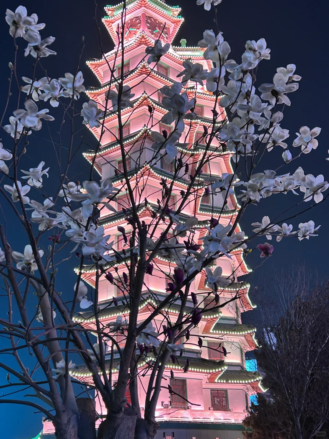 郑州二七塔
真的好喜欢这张今天是粉色的。可以看看你们拍的吗？