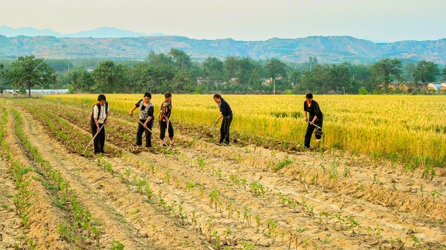 高中同学生病，班长发起捐款，3个小时无人回应，他直接解散群