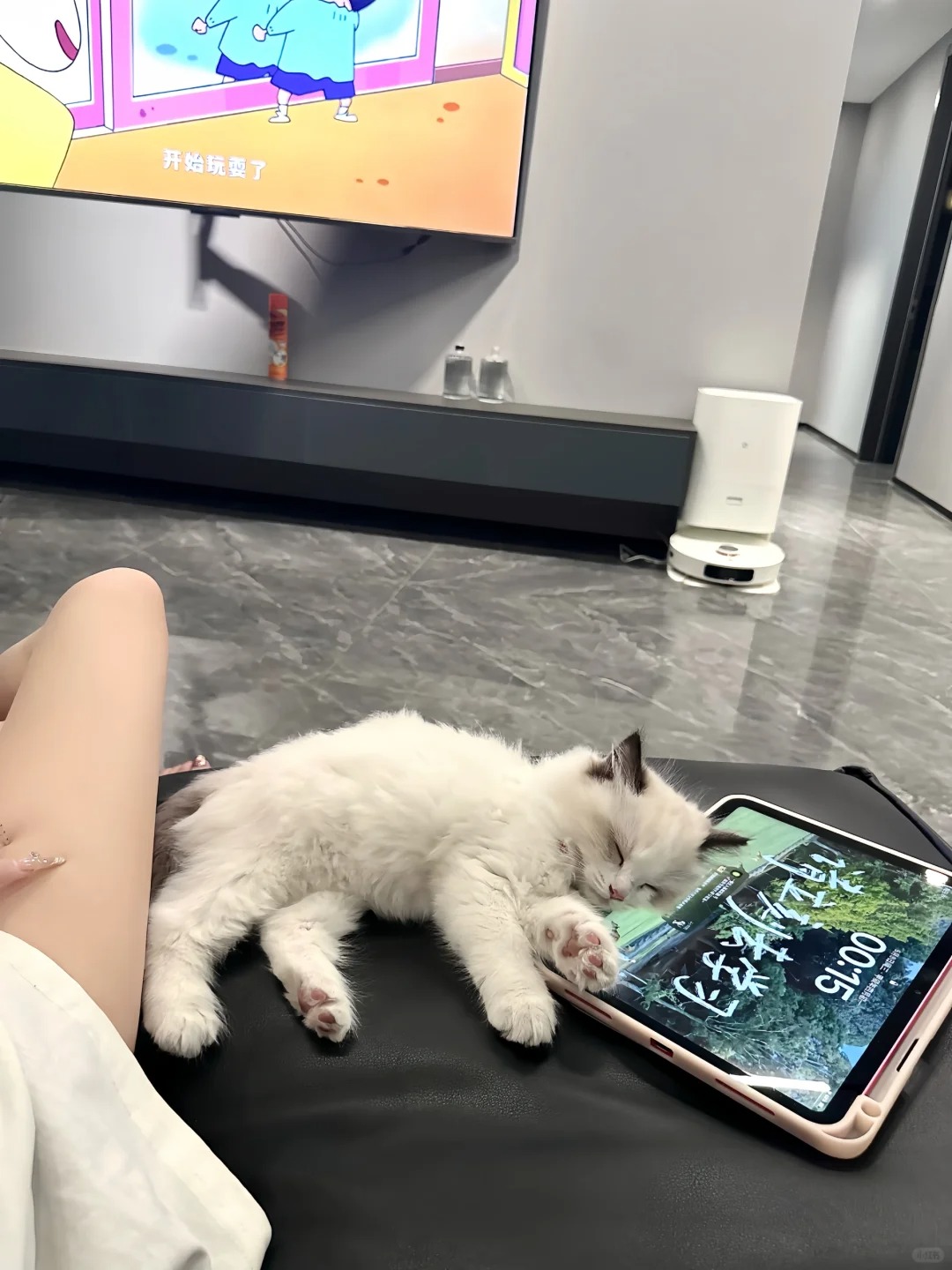 能和你走到最后 是我最大的愿望