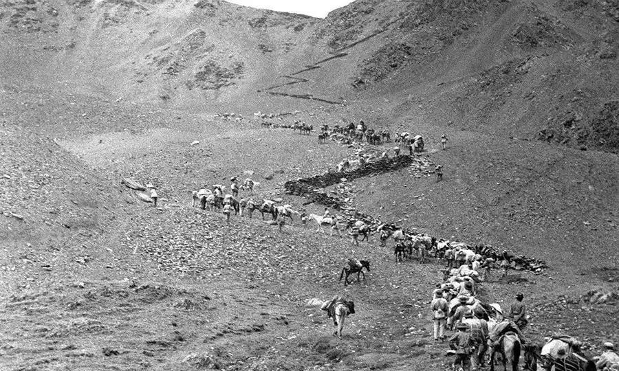 1951年，阿里地区的军队没了粮食，眼看全军即将饿死，一个小战士突然冒了出来，是