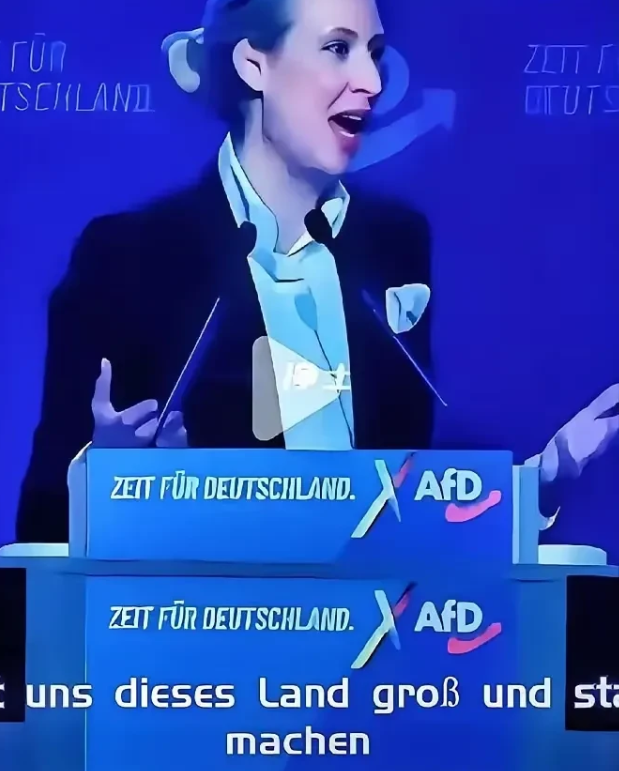 欧洲慌了，魏德尔支持率再次暴涨！

谁能想到，现在德国和魏德尔是国人合一，支持率