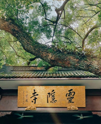 在五百罗汉堂里和小伙伴失散，然后迷路了，兜过去兜过来，就是找不到出口啊，

看到