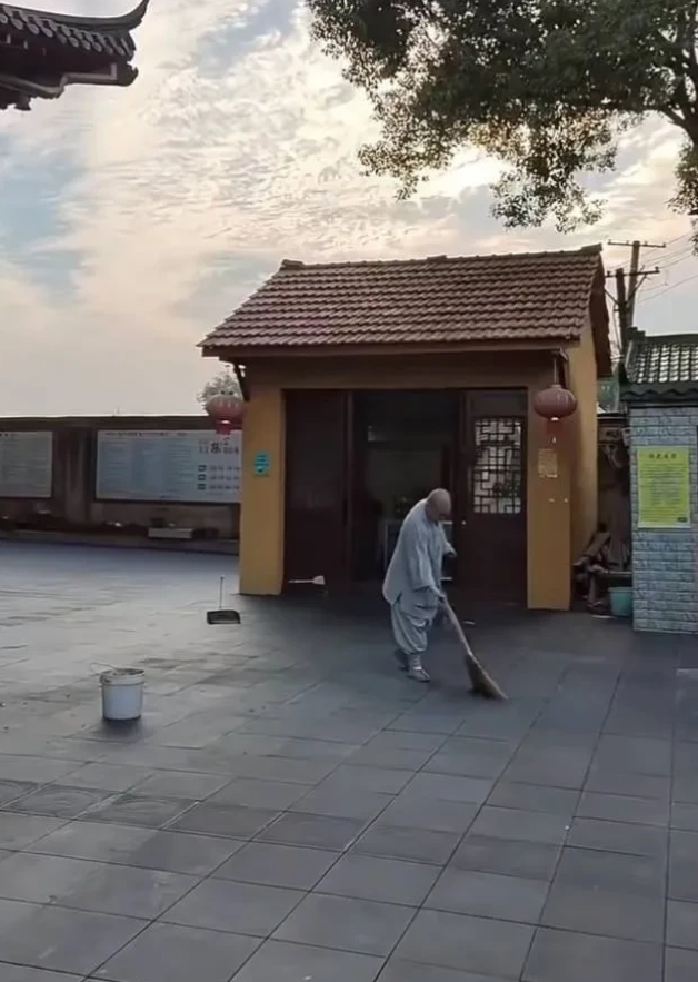 这全是素菜啊
