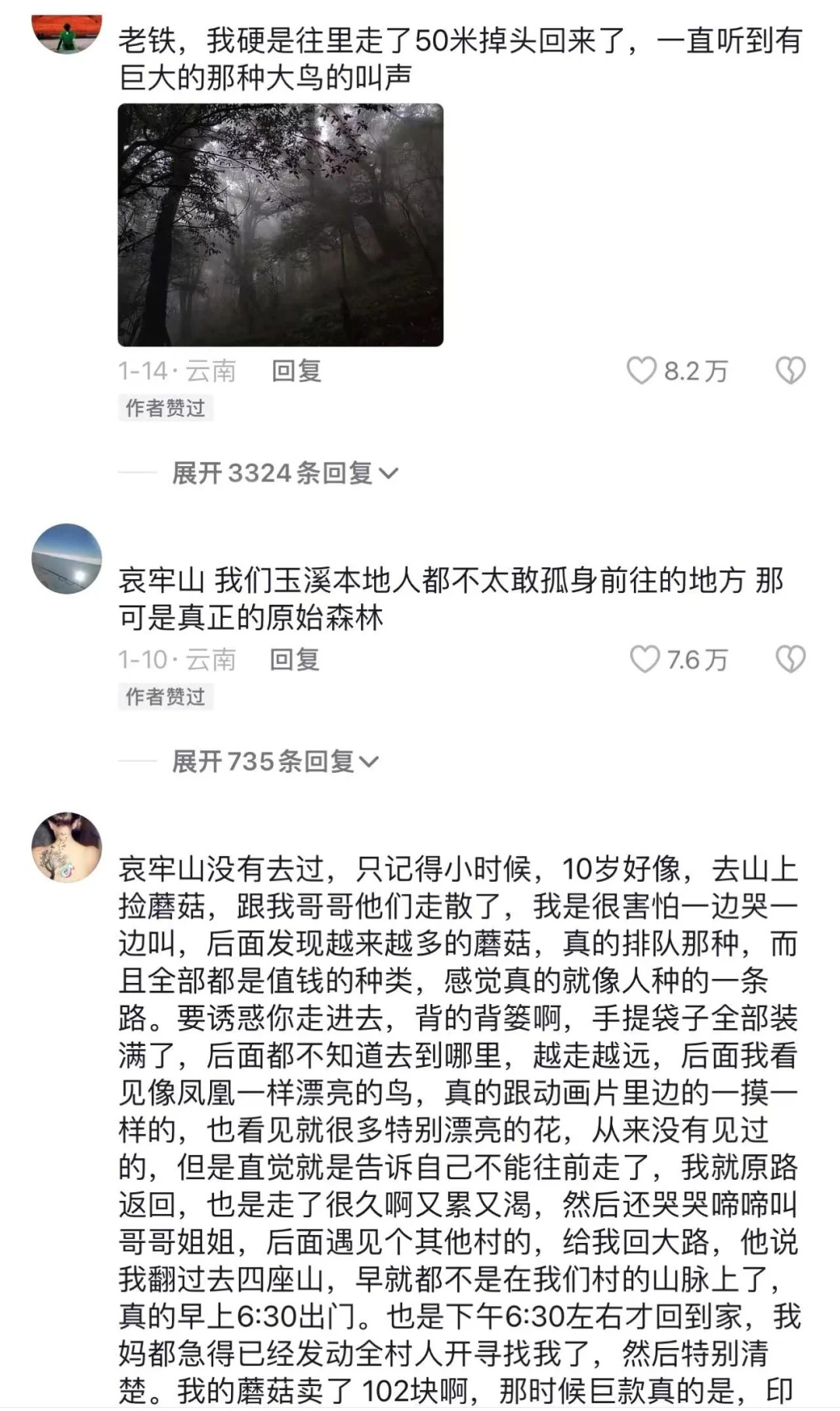 哀牢山真的这么恐怖？人类没法征服的自然
哀牢山真的这么恐怖？人类没法征服的自然。