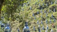 今天去山上挖竹笋的时候，发现了很多花瓶，这是有什么用途吗？我可以把它们带回家吗？