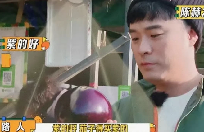 陈赫去北方的菜市场买菜，在买茄子时候却被紫色的圆茄子弄懵了，他长这么大只见过长的