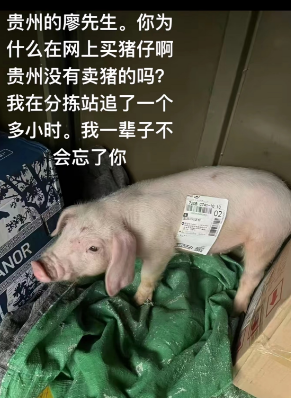 盘点遇到的奇葩快递