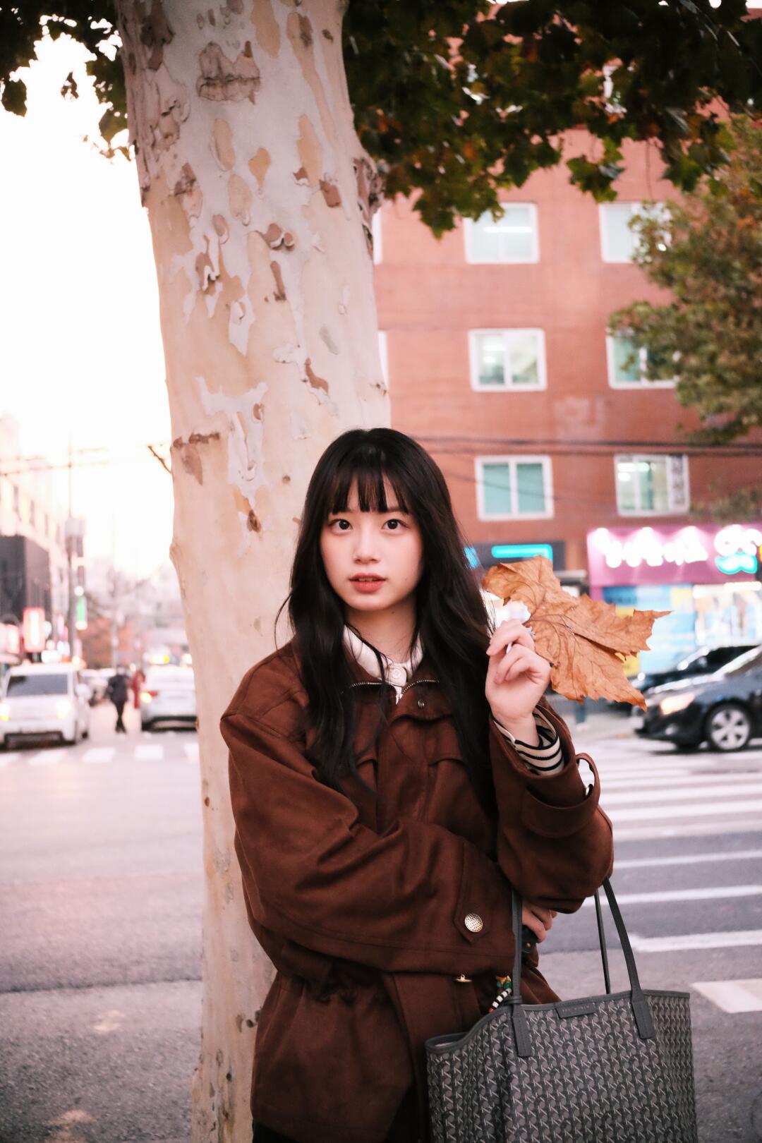 头像感｜捡到一大片🍁！