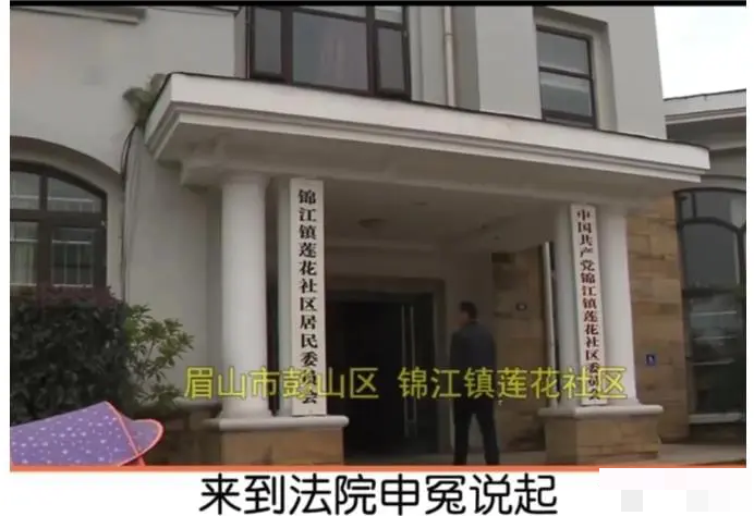 四川眉山，80岁母亲拿房子换赡养费，岂料儿子翻脸不认人，6个子女在法院门口吵翻天
