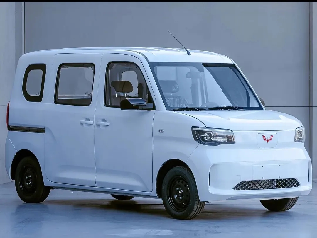 五菱之光ev。
建议五菱之光ev出个旅行露营版，电池加到30度，电机50千瓦
