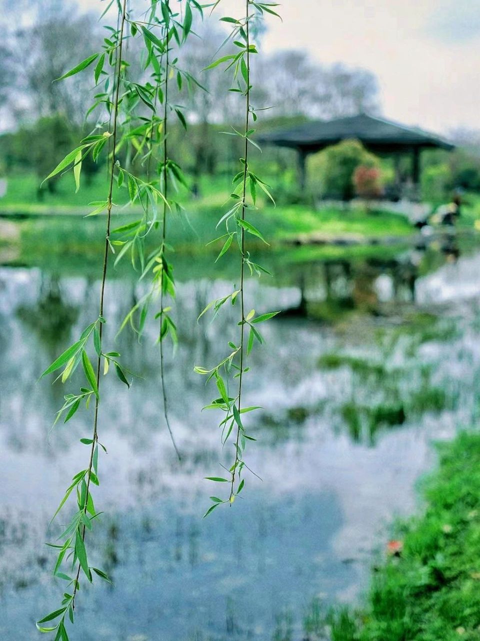 婆婆腰疼的起不来，哼哼唧唧的喊媳妇。“哎呦，哎呦。不行了，动不了……”
媳妇翻一