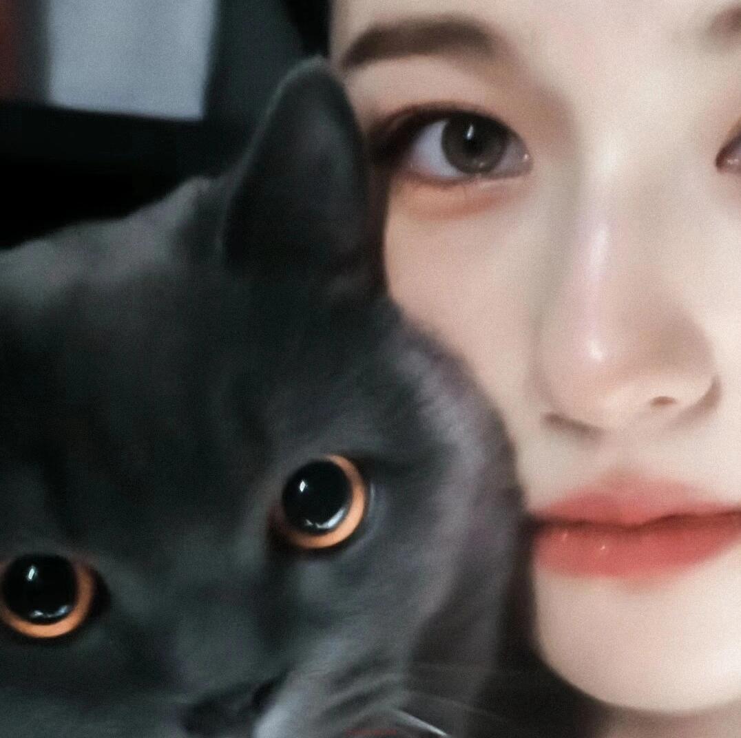 琥珀色眼睛李兰迪