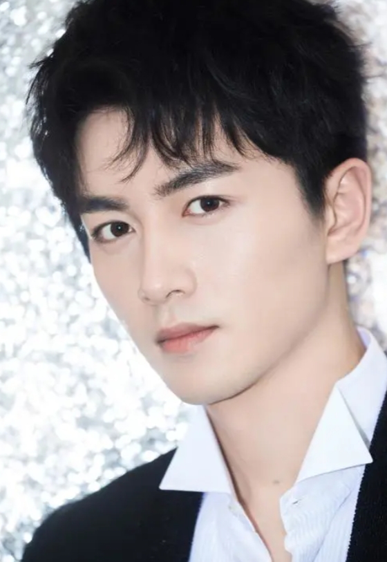 陈晓：专注演艺，拒绯闻，实力扛剧