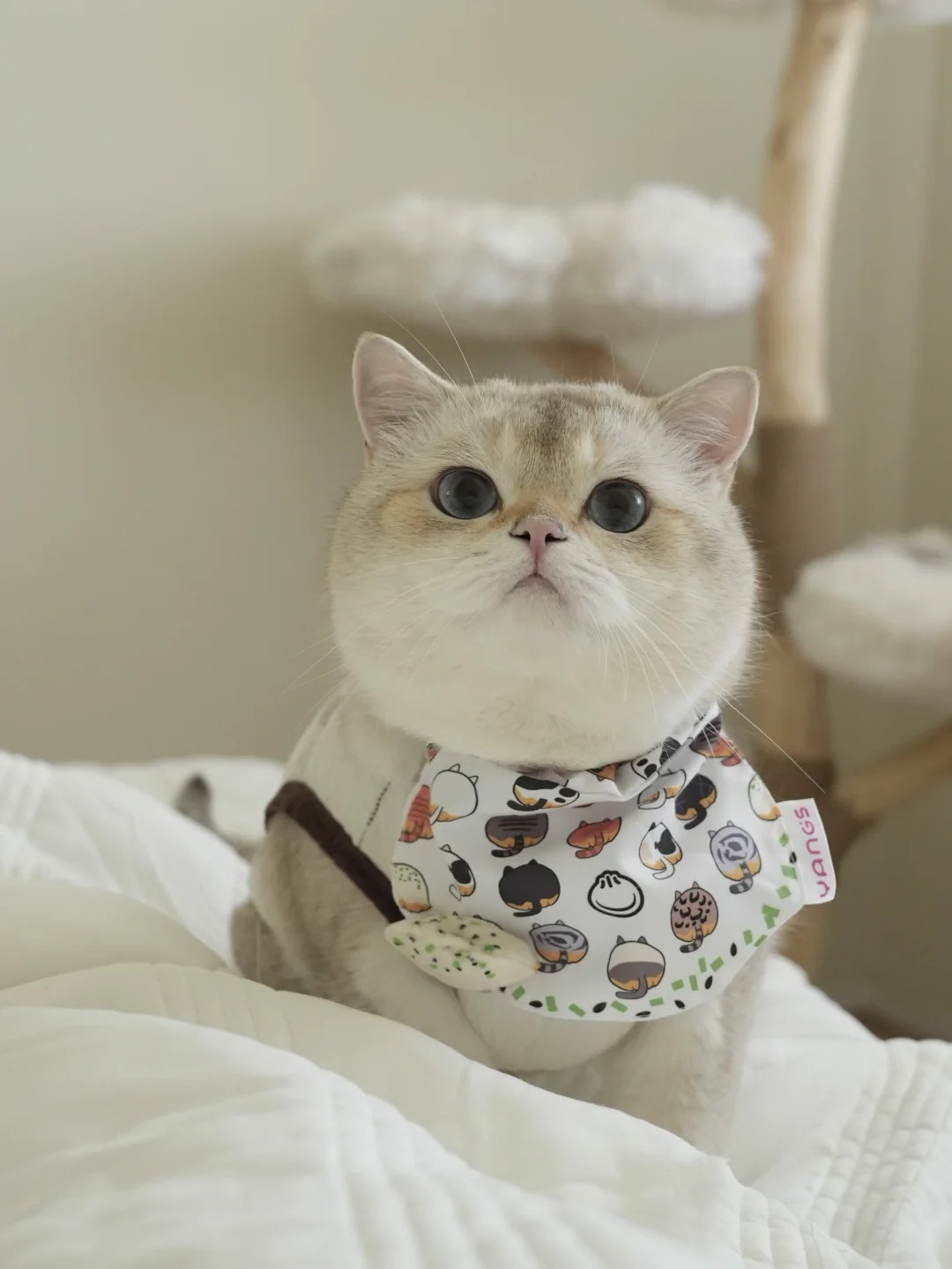 “妈妈 你能再讲一遍 你从一堆小猫里
选中我的故事吗？”

“一堆小猫里？不是呀