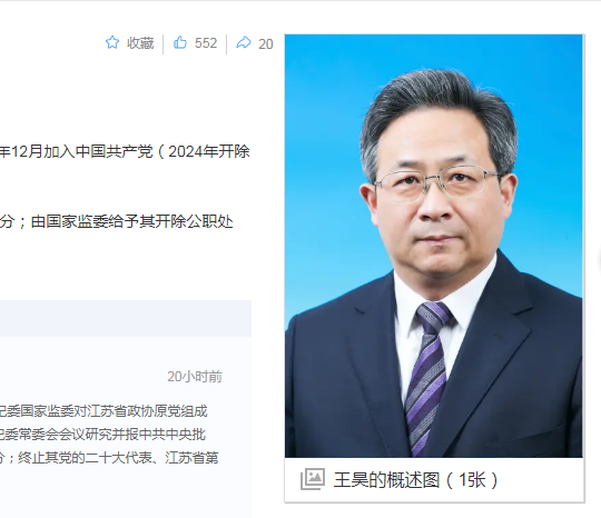 中纪委消息，王昊被双开