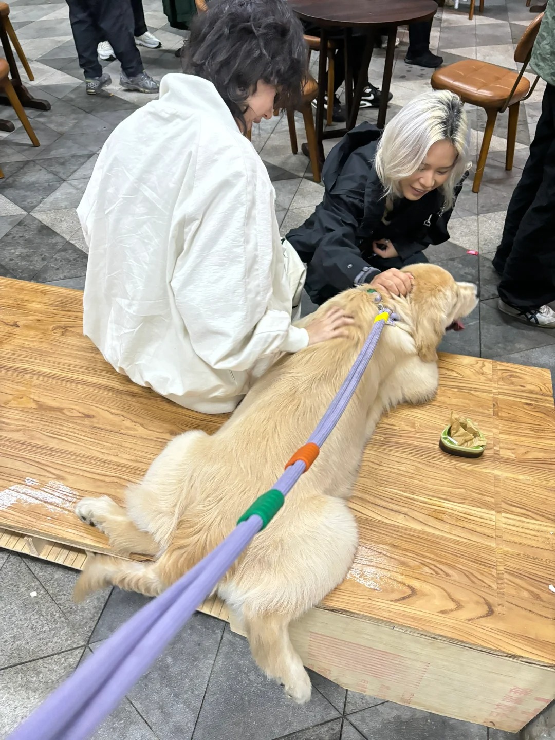 又开始冒充别人的狗了
万万没想到，他可喜欢冒充别人的狗了