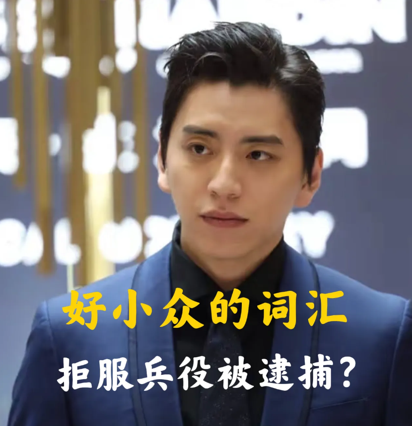 中国台湾演员，王大陆说，看我名字“王大陆”，要服兵役我也只在大陆服，我爸特别喜爱