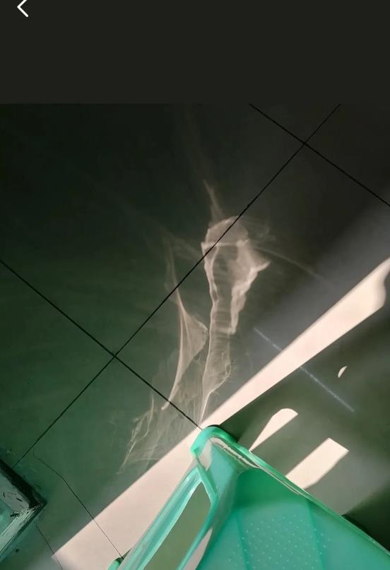一句话形容一下你的看法！