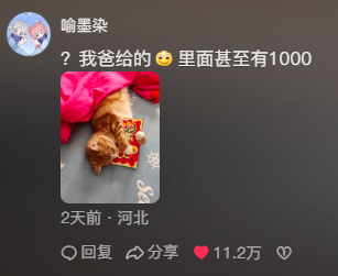 过年小猫收到的红包都比你多，哈哈哈