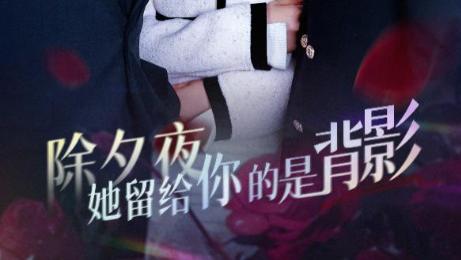 短剧在线观看《除夕夜她留给你的是背影&一厢情愿两自伤》完整版全集（30集）魏家乐
