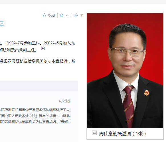 中纪委消息，周佳念被开除公职，