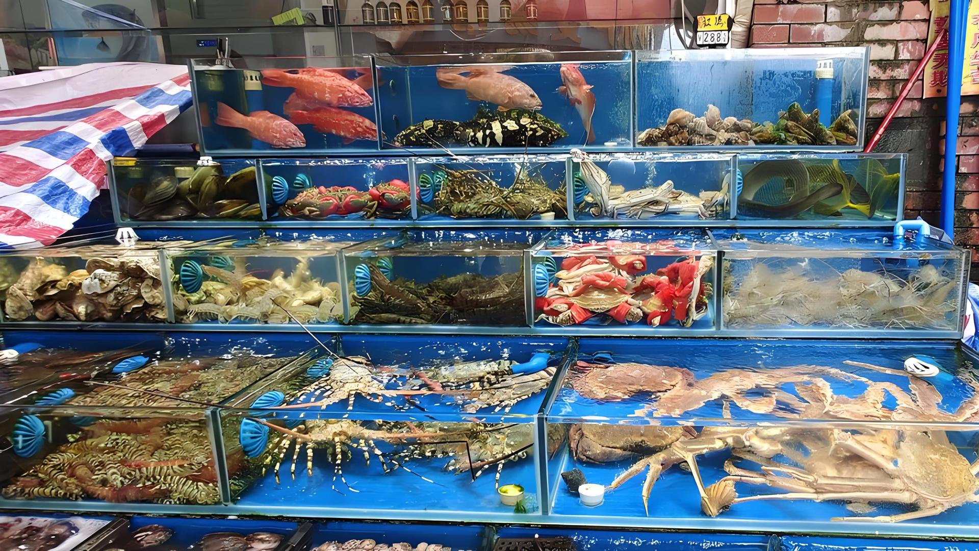 多方面了解水产品进口知识