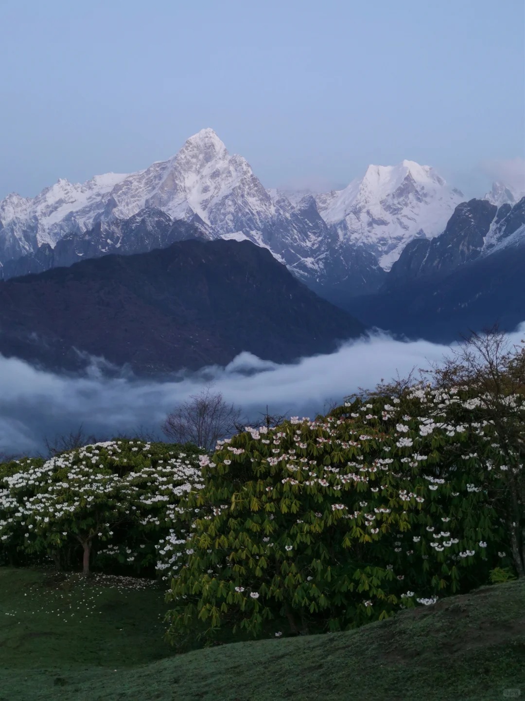 龙年怎么能不来龙华山
第一次夜爬，献给龙华山，遇到了近段时间难得的好天气，日照金