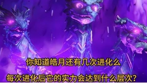 你知道皓月还有几次进化么？每次进化后它的实力会达到什么层次？

初次相遇时，龙皓