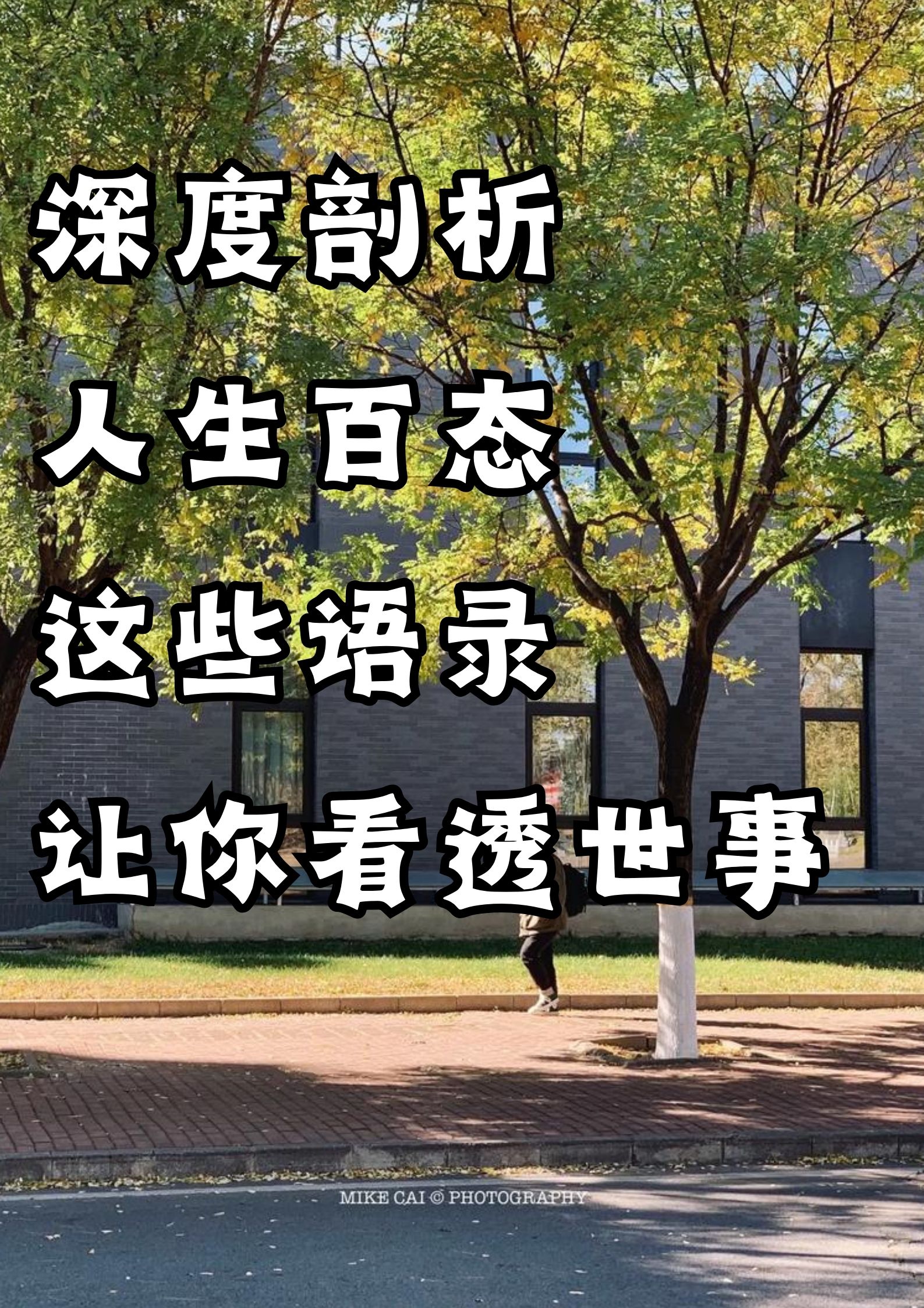 深度剖析人生百态，这些语录让你看透世事！
