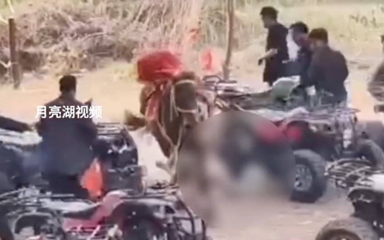 再次看到那个小男孩视频心里还是一阵一阵的难受，

才八岁，从椅子上滑下来那时候真
