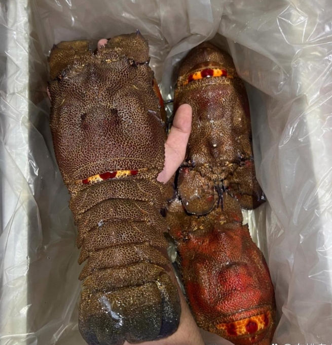 朋友发过来的，这是什么东西？你们第一眼看到的这个是什么？我看了好几眼都没有看出来