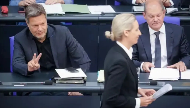 德国大选提前，维德尔成为第二位女总理基本无望？

在德国生活了二十年的网友对这情