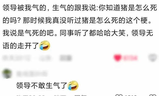 领导不敢生气了