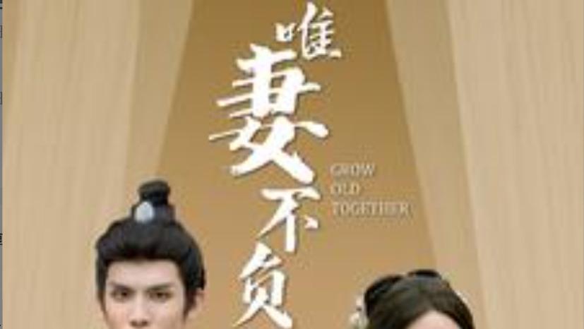 短剧在线观看《唯妻不负》完整版全集（80集）郭静