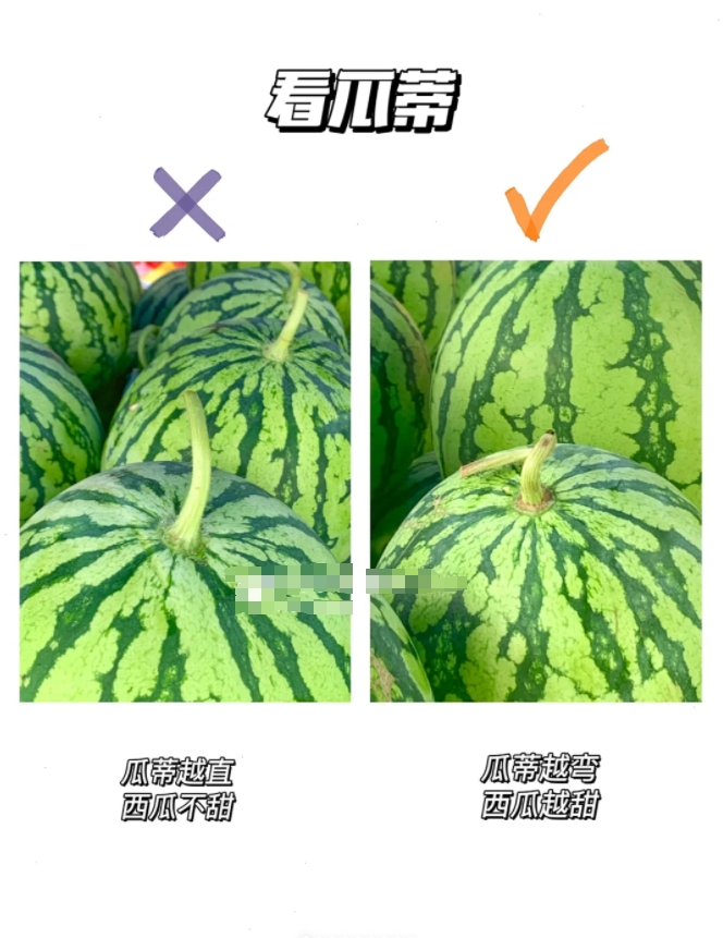 照这个方法，总算挑到了今年最懂事的西瓜！

炎热夏天怎么少得了西瓜呢？

学会这