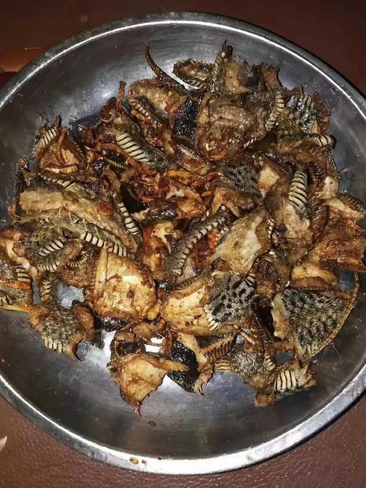     云南的朋友设宴款待，上了一道此般的菜，我是一筷子都愣是没敢动。  
