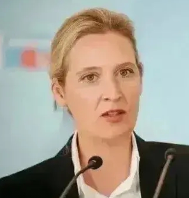 魏德尔能当上德国总理宝座吗？
看看德国总理四位候选人民调支持率
第一个，德国总理