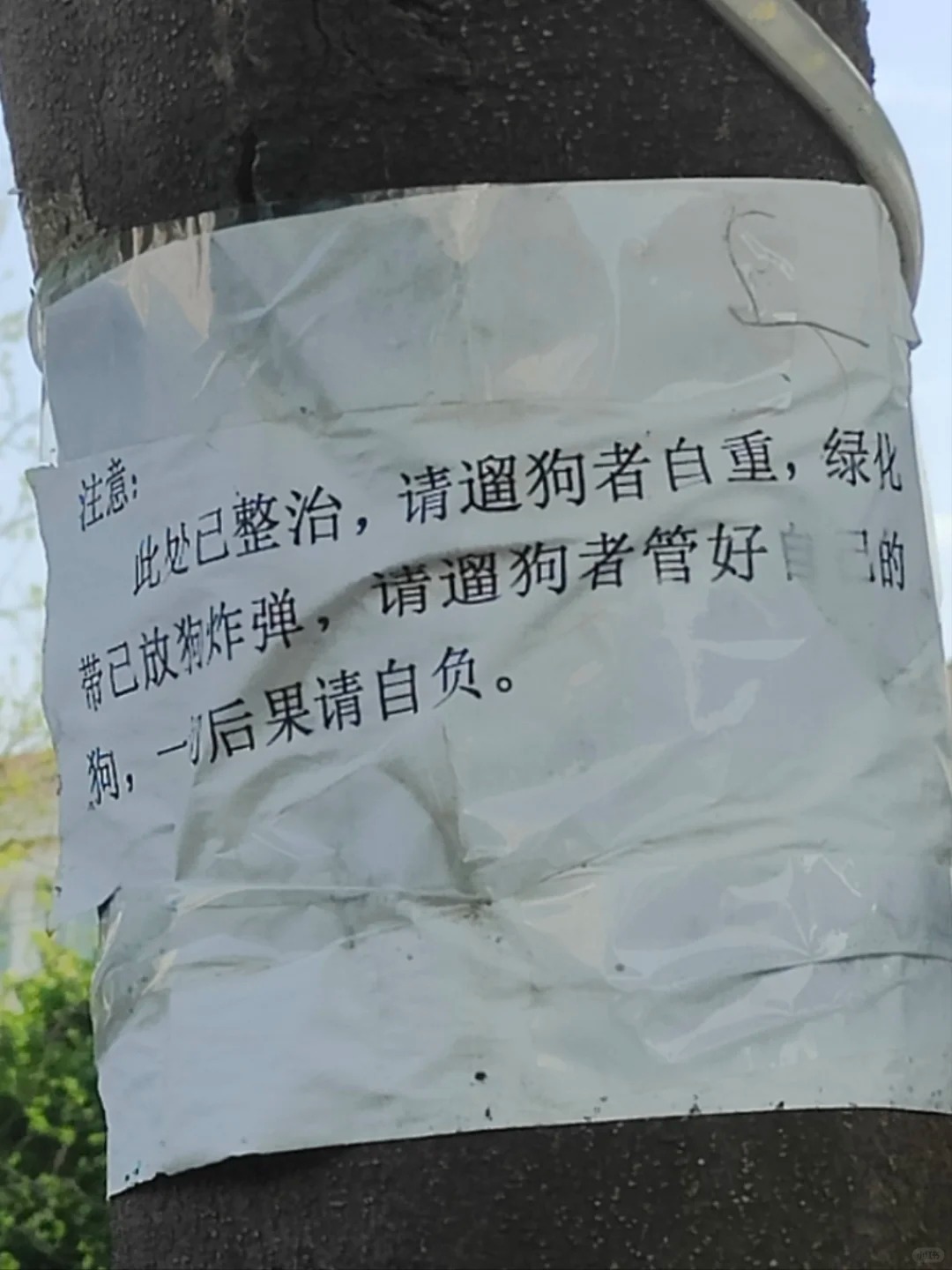 不知道小狗做错了什么
#拒绝虐猫虐狗 #动物保护 #阿拉斯加 我想问一下狗炸弹是
